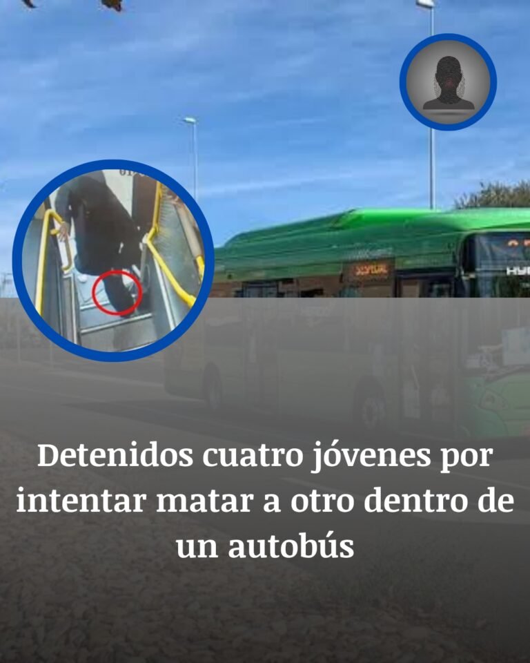 Colmenar Viejo: El Ataque A Puñaladas Dentro De Un Autobús Lleno De Pasajeros