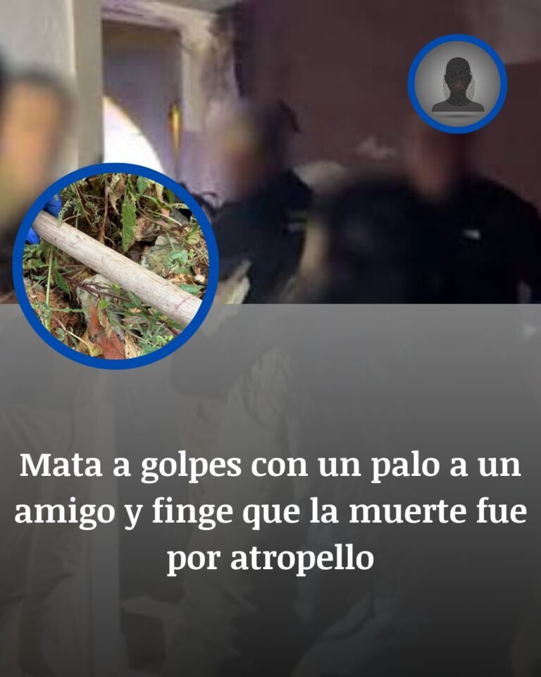 Pilar De La Horadada: La Tubería Bajo La AP-7 Y El Amigo Que Mintió