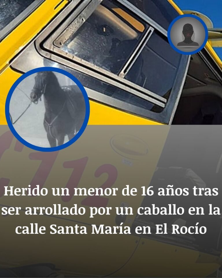 El Rocío: El Caballo Desbocado Que Arrolló A Un Menor En La Calle Santa María