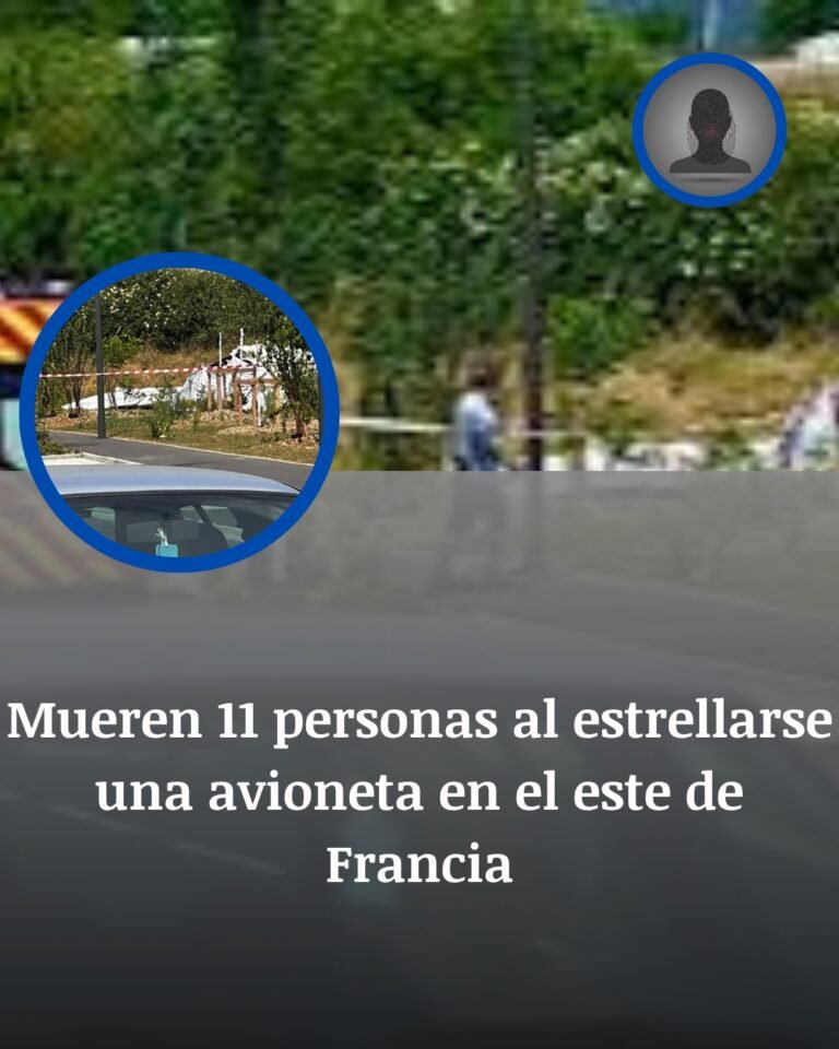 Avioneta de paracaidismo en Francia: once muertos tras estrellarse junto a Nancy
