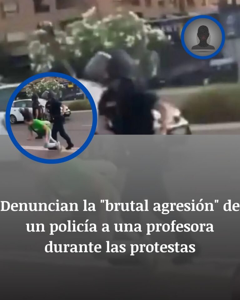Valencia: El Empujón Por La Espalda A Una Profesora En Plena Protesta Educativa