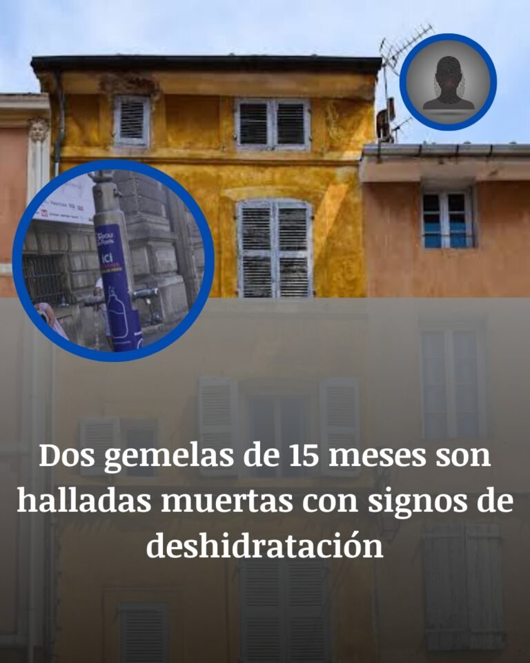 Dos gemelas de 15 meses halladas muertas por deshidratación en Francia: sus padres, bajo custodia policial