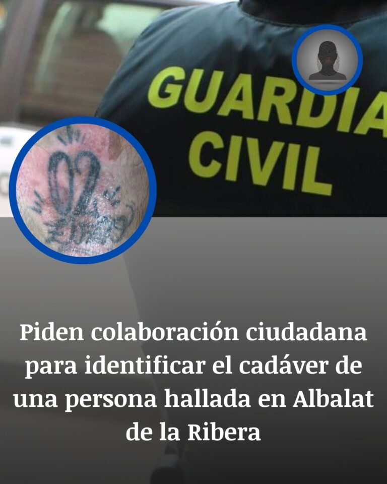 Albalat de la Ribera: el tatuaje «02 ZUZO» que podría devolverle el nombre a un cadáver hallado entre naranjos