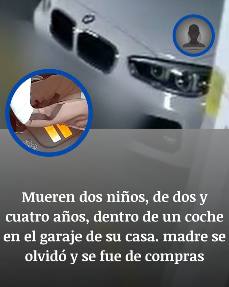 Dos niños de 2 y 4 años mueren dentro del coche familiar en un garaje de Francia durante la ola de calor