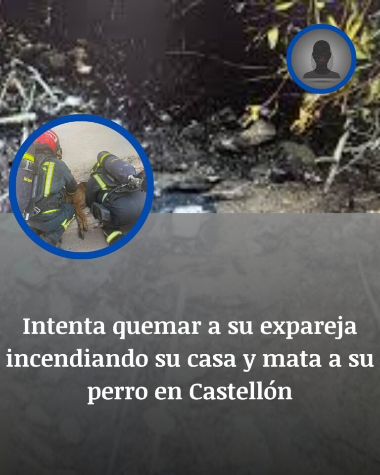Detenida una mujer por incendiar la casa de su expareja en la Vall d’Uixó y causar la muerte de su perro