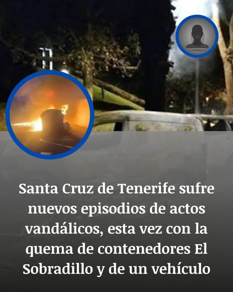 Santa Cruz de Tenerife refuerza la vigilancia nocturna tras otra noche de incendios de contenedores y un coche calcinado