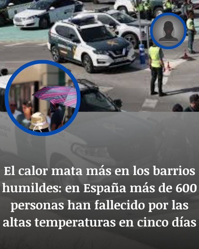 El calor mata más donde la sombra no alcanza: España supera las 600 muertes en cinco días