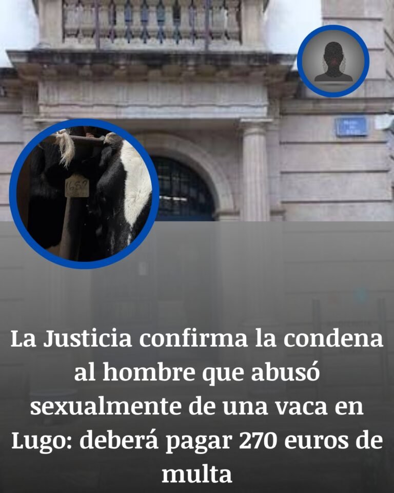 La Justicia deja firme en Lugo la condena por abusar sexualmente de una vaca
