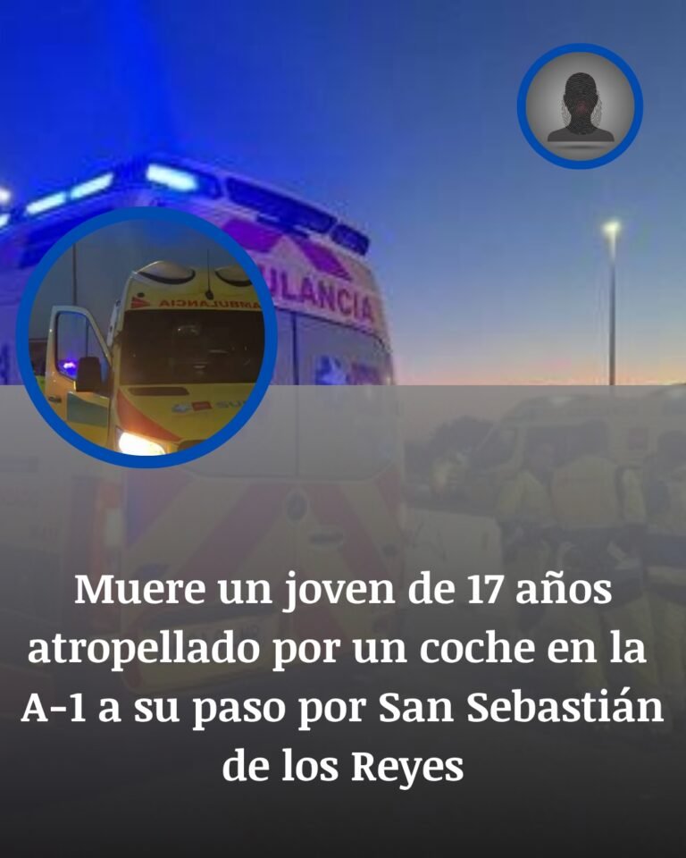 Atropello mortal en la A-1: un joven de 17 años murió antes del amanecer en San Sebastián de los Reyes