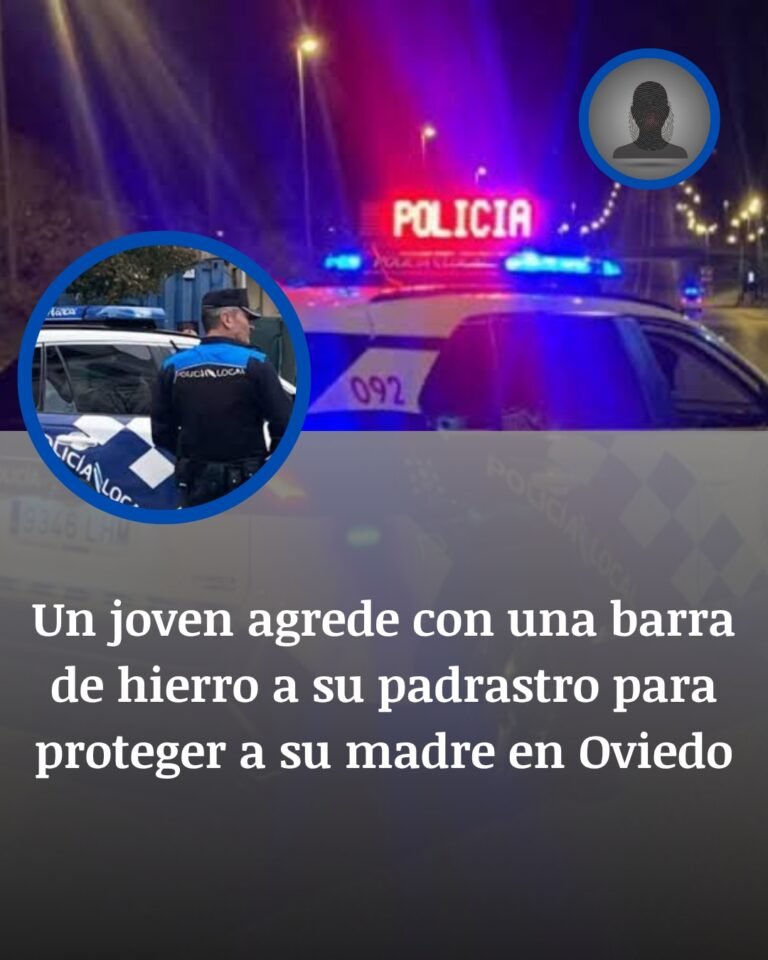 Oviedo: la barra de hierro que estalló en mitad de una agresión contra una madre