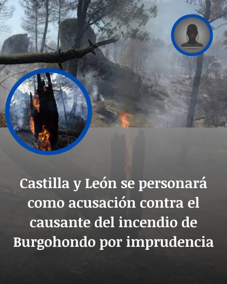 Burgohondo: Castilla y León irá contra el causante del incendio tras una chispa de maquinaria pesada