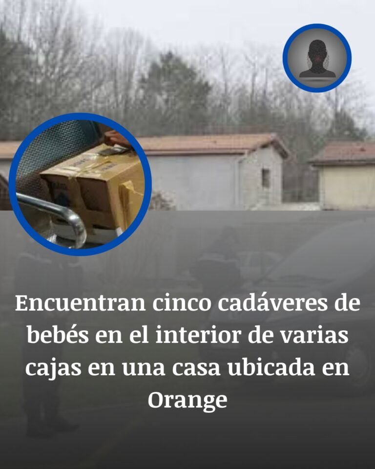 Cinco cadáveres de bebés en una casa de Orange: el hallazgo en cajas de cartón que sacude al sur de Francia