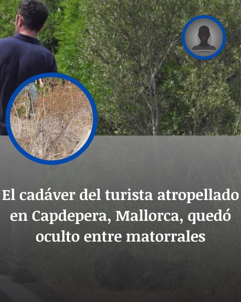 Capdepera: un turista murió atropellado, quedó oculto entre matorrales y lo hallaron tras horas de búsqueda