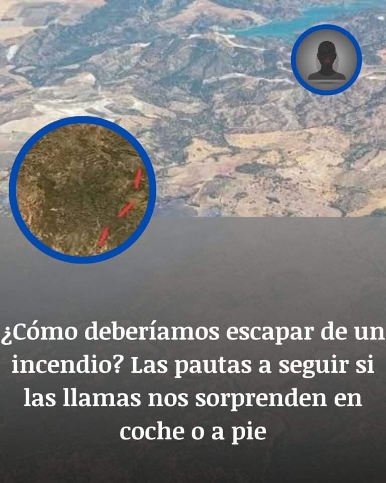 Qué hacer si el fuego te sorprende: un bombero pide huir hacia los flancos y entrar en zona quemada