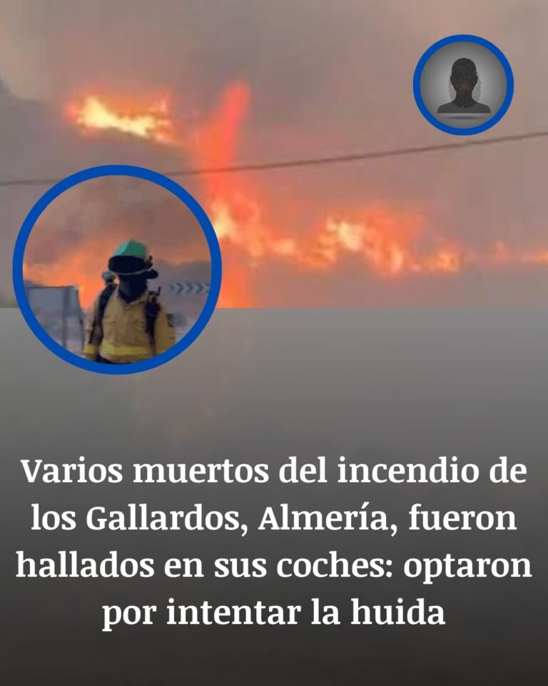 Los Gallardos y Bédar: once muertos en la huida del incendio forestal de Almería