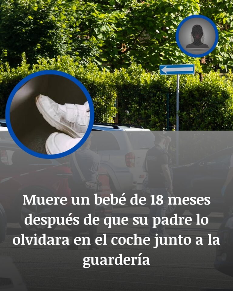 Muere en Florida un bebé de 18 meses tras quedar olvidado en un coche junto a su guardería