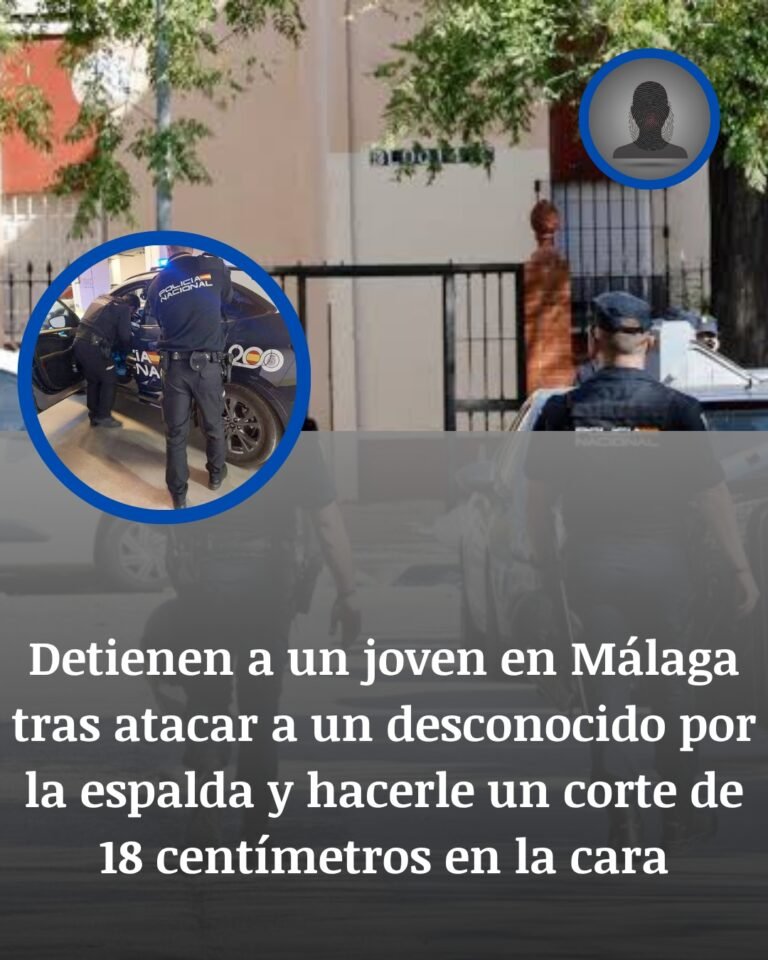 Detenido en Málaga tras atacar por la espalda a un desconocido y abrirle la cara con un corte de 18 centímetros