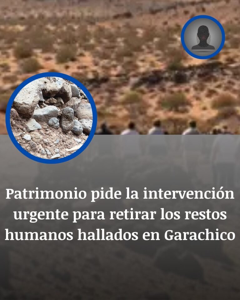 Patrimonio activa una retirada urgente tras el hallazgo de restos humanos en la costa de Garachico