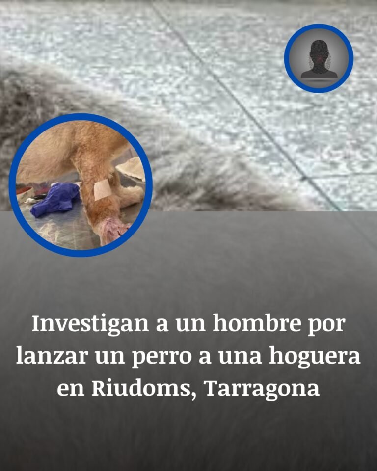 Riudoms revive el horror tras el rescate de un cachorro arrojado a una hoguera en Tarragona