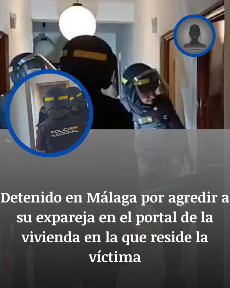 Detenido en Málaga por agredir a su expareja en el portal donde vive la víctima