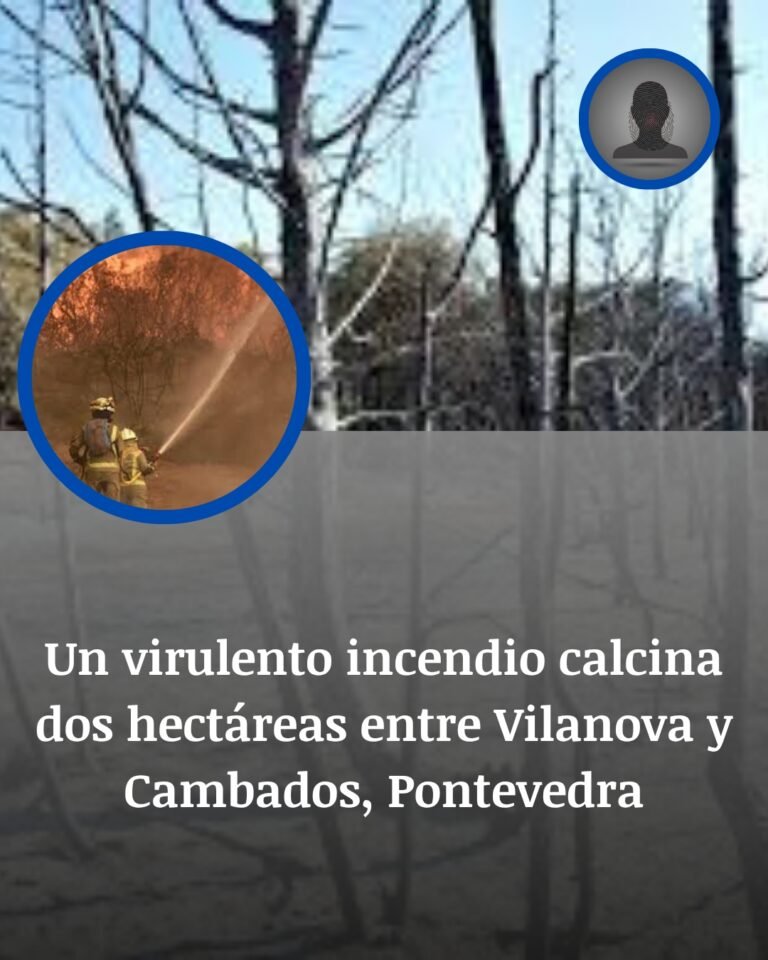 Incendio entre Vilanova y Cambados: las llamas llegaron al borde de una casa y una granja