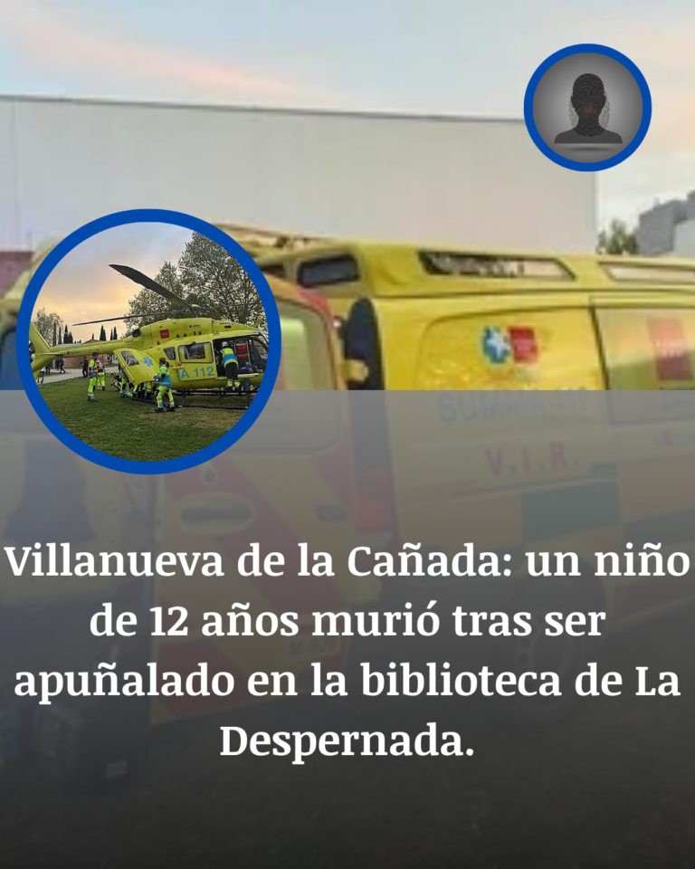 Villanueva de la Cañada: Un Niño de 12 Años Muere Tras un Apuñalamiento en La Despernada
