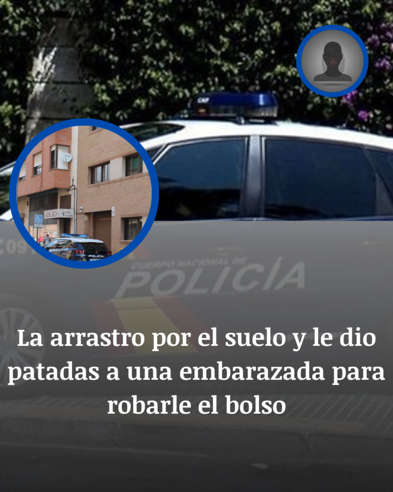 Alzira: Patadas A Una Embarazada Por Un Bolso