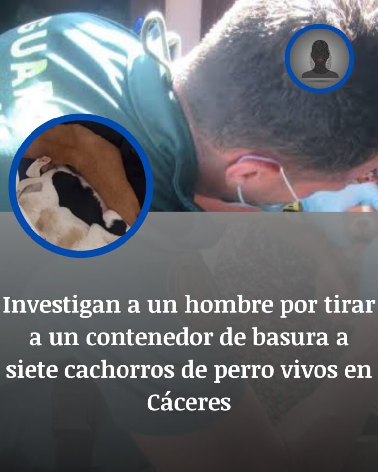 Siete cachorros vivos en la basura: la investigación que sacudió a un pueblo de Cáceres