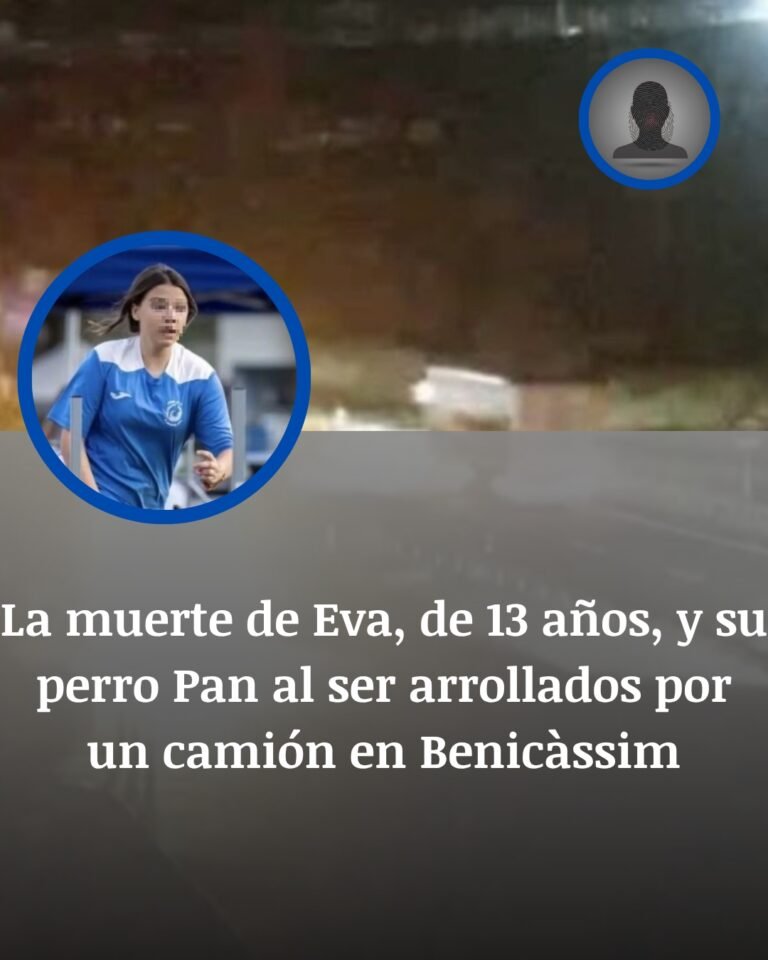 La muerte de Eva y su perro Pan en la AP-7 de Benicàssim: una parada por un pinchazo terminó en tragedia