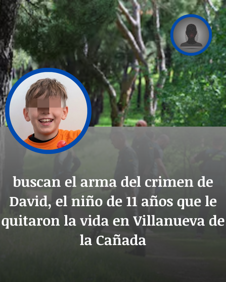La Despernada: El Arma Que Falta Y El Miedo Que Se Queda