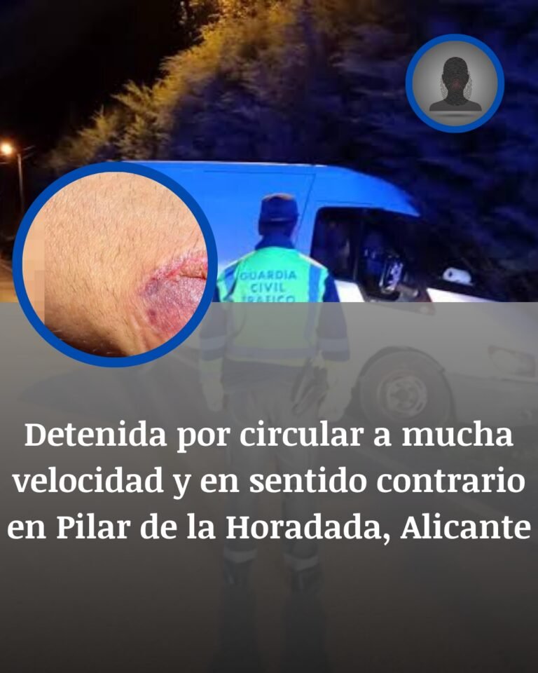 Detenida en Pilar de la Horadada tras circular en sentido contrario y morder a un agente