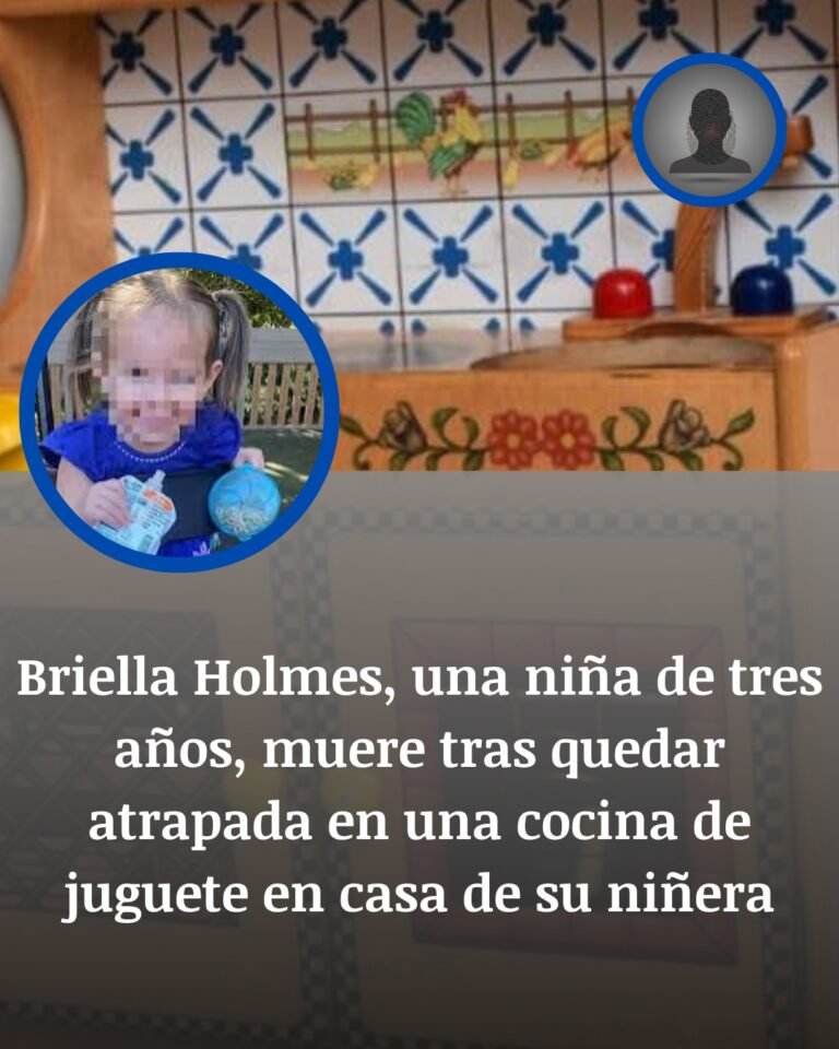 Briella Holmes, la niña de 3 años que murió tras quedar atrapada en una cocina de juguete en Florida