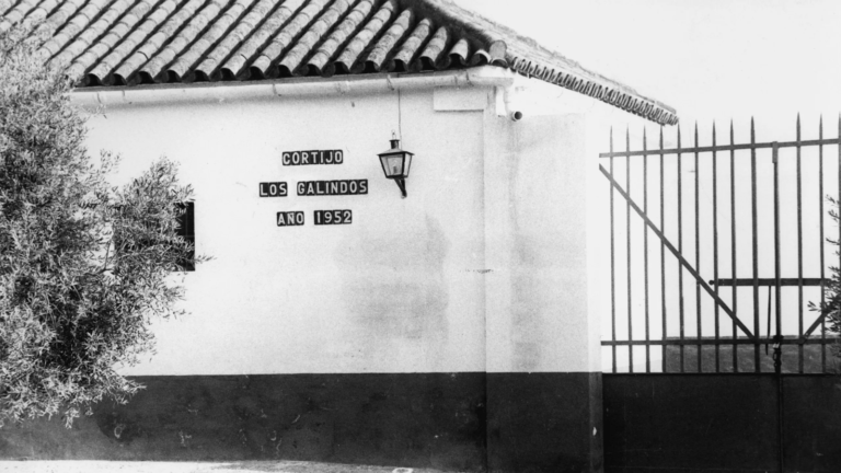 El crimen de Los Galindos: cinco vidas segadas en una tarde, y un silencio que nunca se rompió