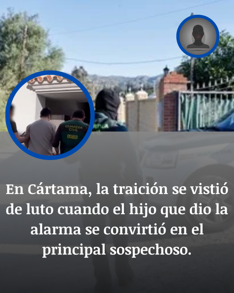 Sombras en el hogar de Cártama: El teatro de sombras tras la muerte de Edurne