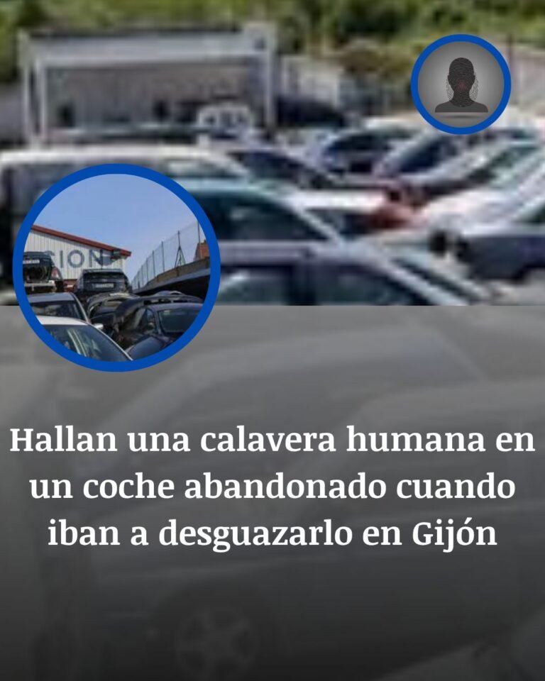 Hallan una calavera humana en un coche abandonado camino del desguace en Gijón