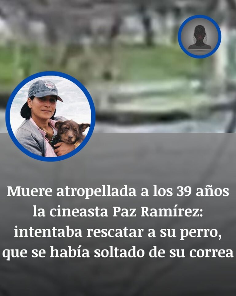 Paz Ramírez murió al intentar salvar a su perro y el conductor escapó tras arrollarla en Providencia