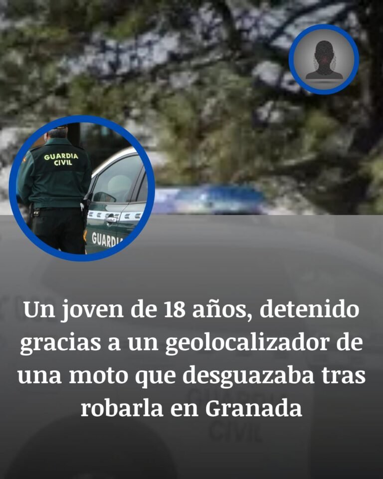 Granada: un geolocalizador delata a un joven de 18 años cuando ya desguazaba la moto que acababa de robar