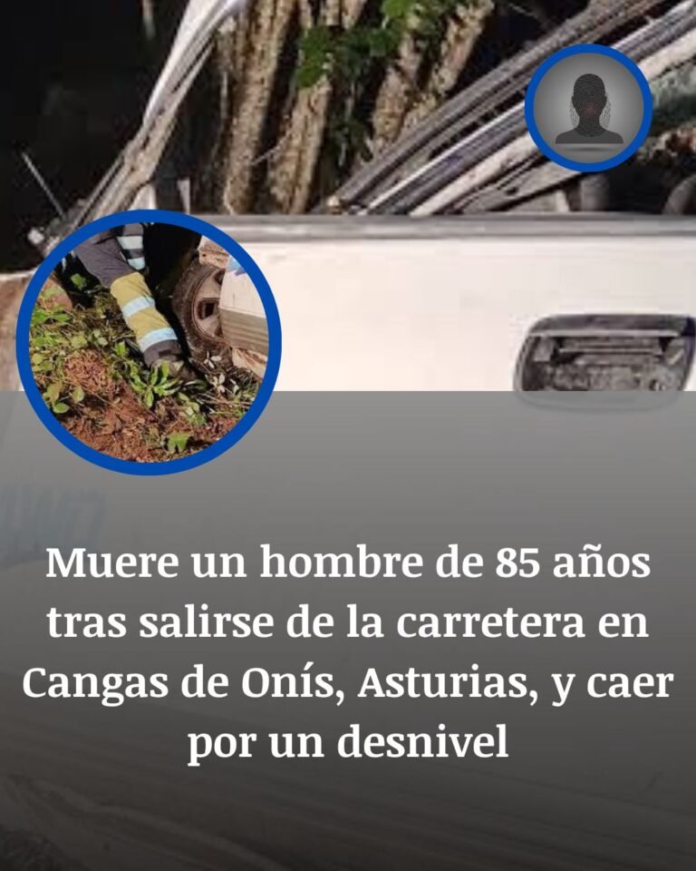 Cangas de Onís, Asturias: muere un hombre de 85 años tras despeñarse su coche cien metros por un monte