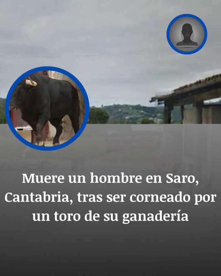 Muere en Saro el ganadero corneado por uno de sus toros tras dos semanas de ingreso