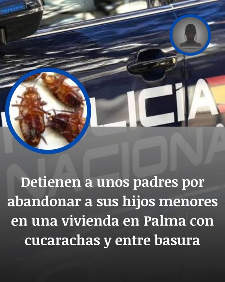 La casa de las cucarachas en Palma: detenidos unos padres por abandono de sus hijos menores