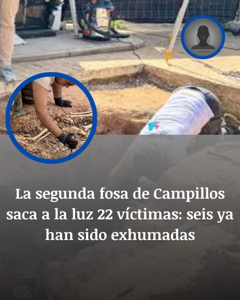 Campillos abre otra herida bajo tierra: 22 víctimas afloran en la segunda fosa y seis ya han sido exhumadas