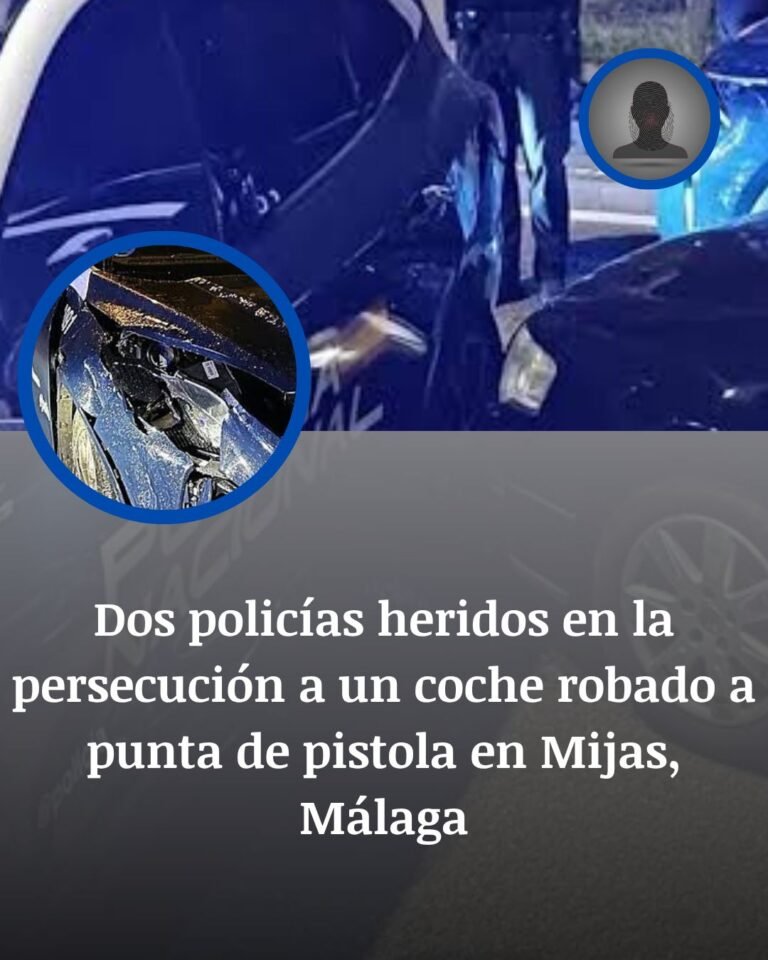Persecución en la A-7 tras un robo violento en Mijas: dos policías heridos y tres detenidos