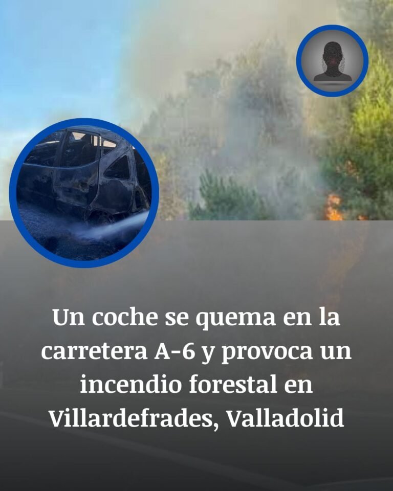 Un coche arde en la A-6 y prende la vegetación junto a Villardefrades, Valladolid