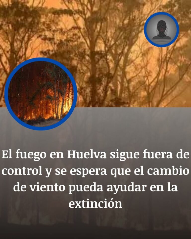 Incendio en Huelva: el fuego de Niebla sigue fuera de control y el cambio de viento marca una oportunidad crítica
