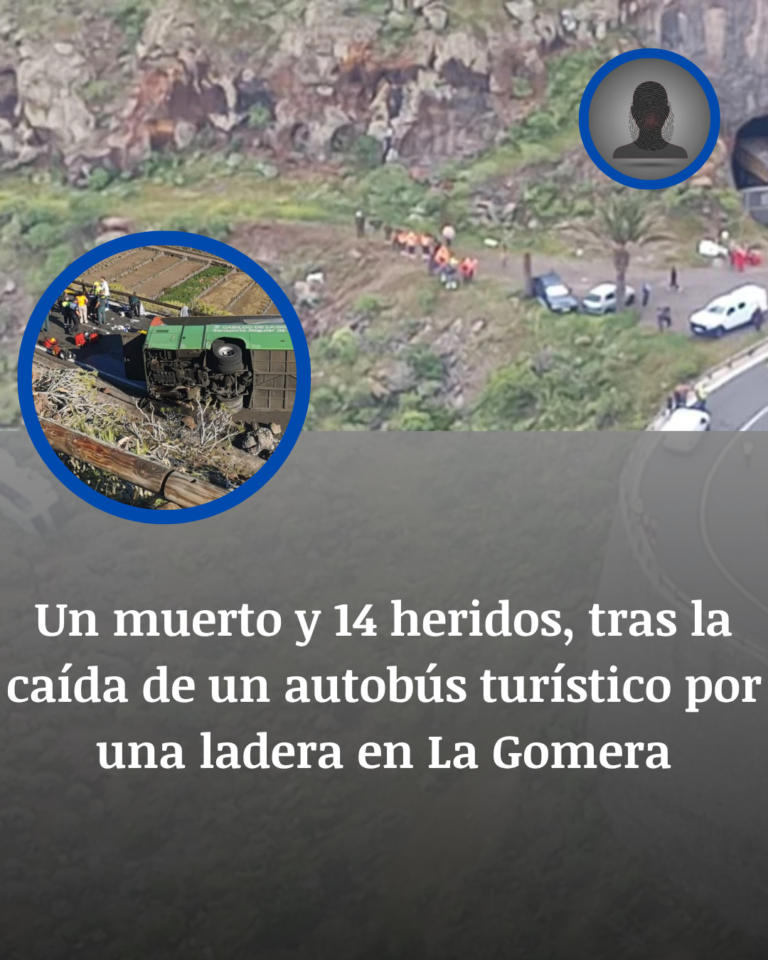 La Gomera: Una Curva, Un Barranco Y Un Viaje Interrumpido