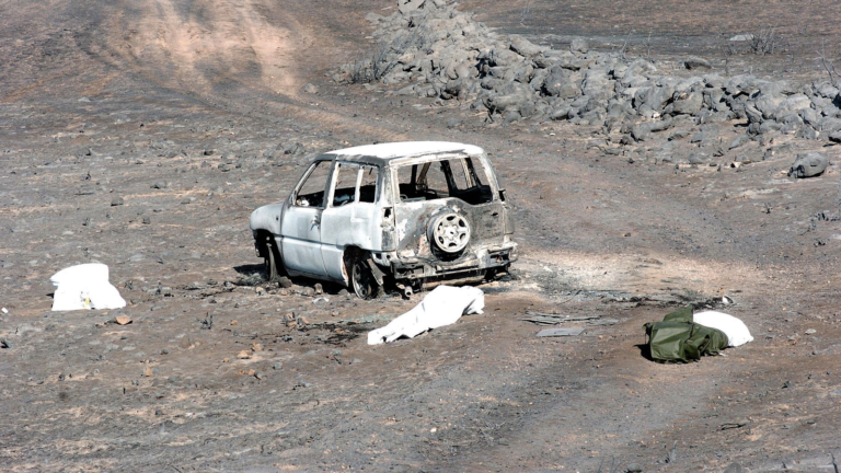 El Incendio De Guadalajara (Riba De Saelices): 16 De Julio De 2005