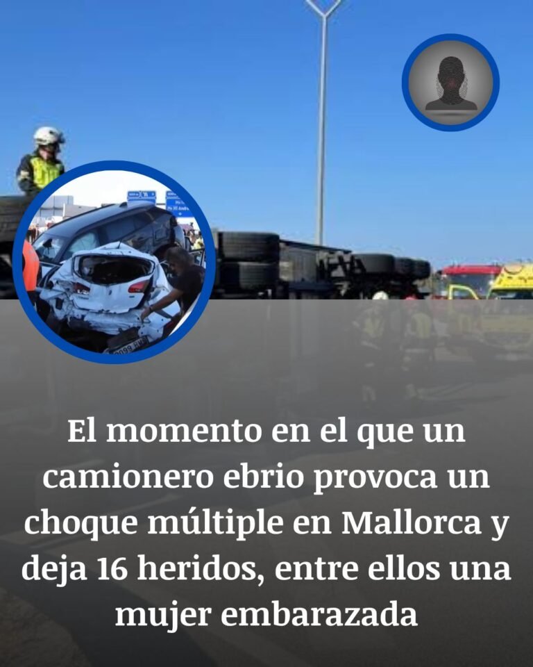 Camionero ebrio, siete vehículos destrozados y 16 heridos: la mañana de pánico en la Ma-13 de Mallorca