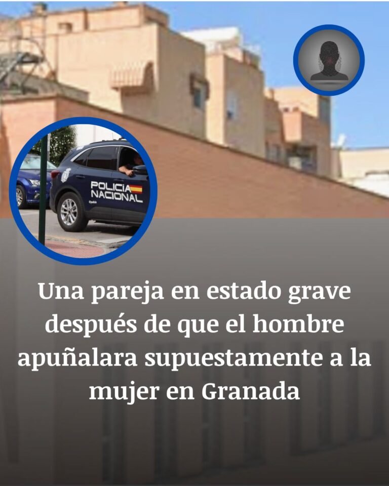 Granada: una mujer y su pareja, muy graves tras una agresión con arma blanca en La Chana
