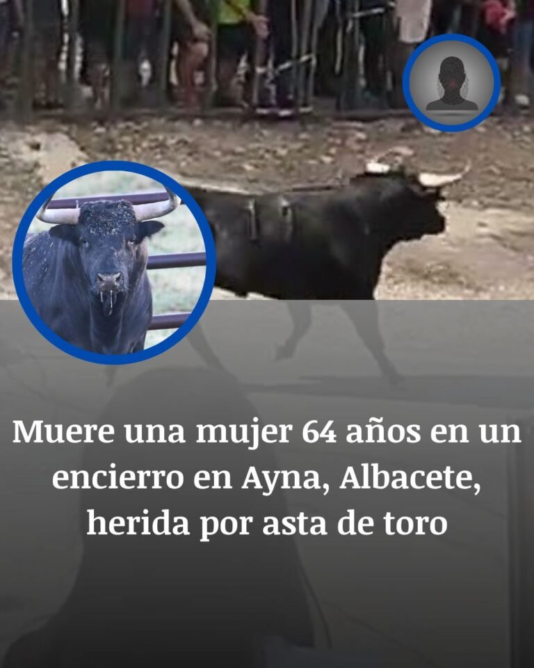 Una mujer de 64 años muere tras ser embestida por un toro en el encierro de Aýna