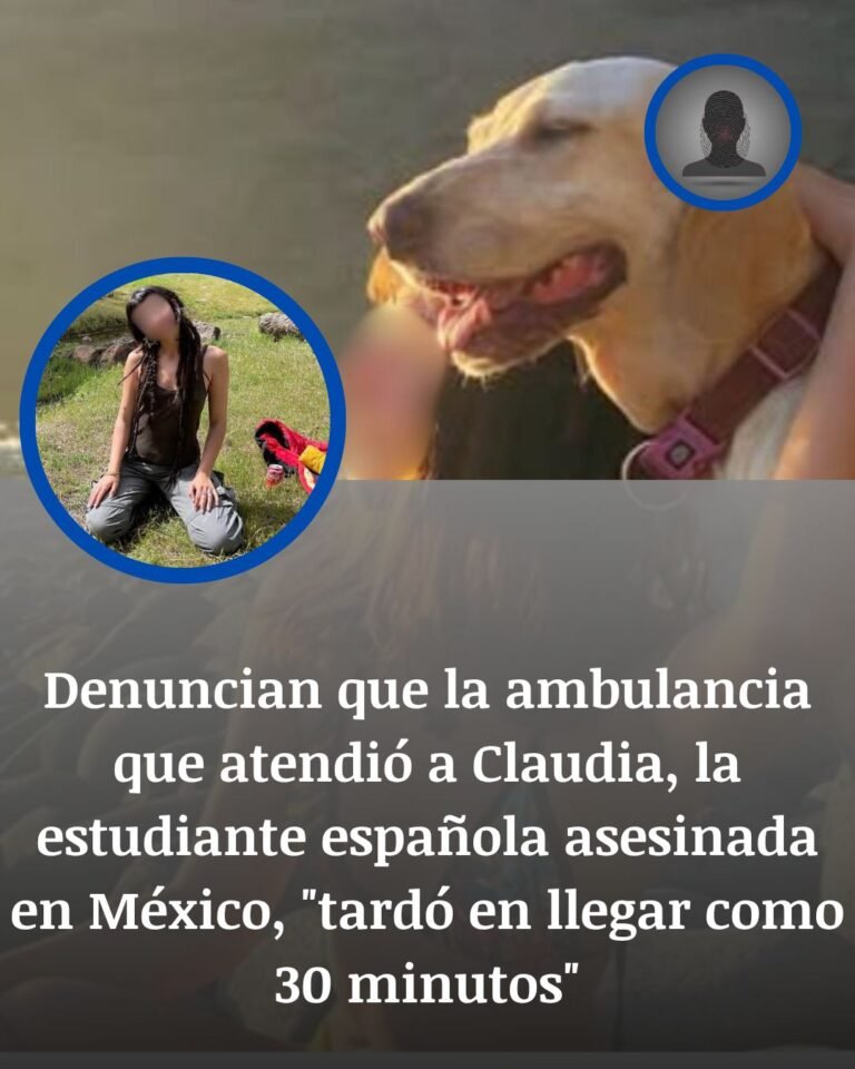 Claudia Tacoronte: denuncian demora en la llegada de la ambulancia tras el ataque en Cuautla